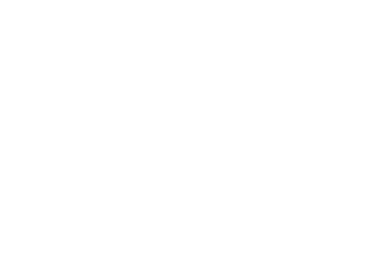 Blank white image with no visible content.