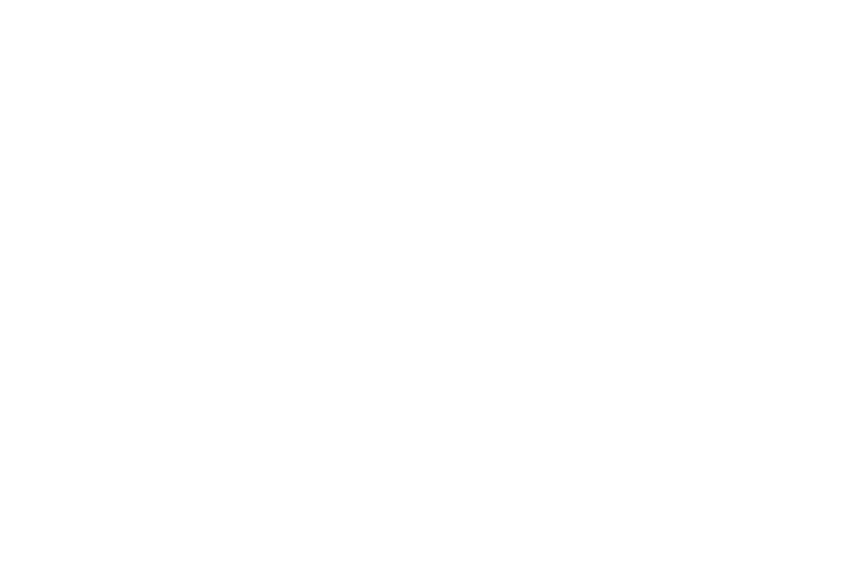 Blank white image used as a spacer with no visible content, decorative only.