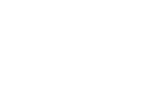 Plain white image with no visible content.